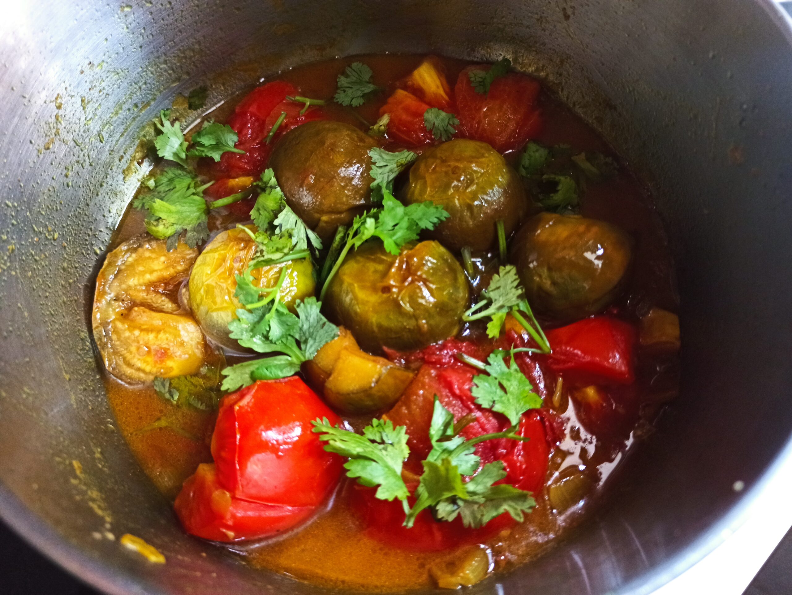 Burmese Eggplants and Tomatoes Stew