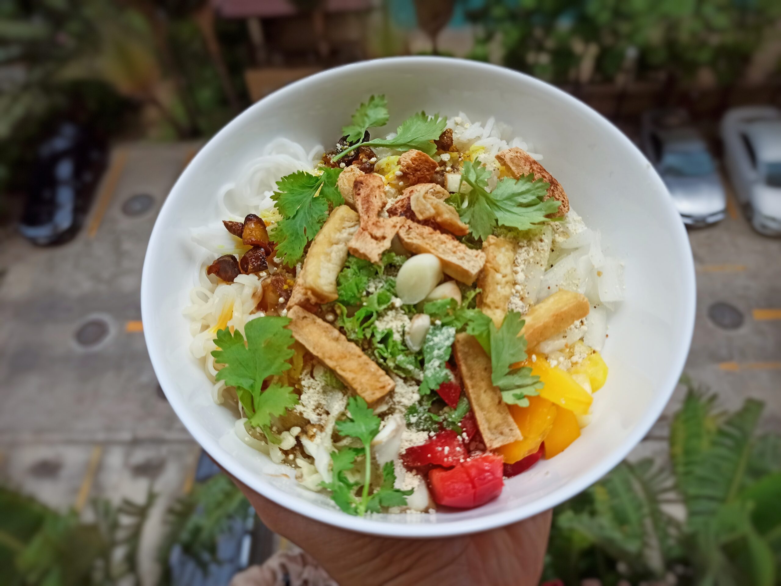 Burmese Rice Noodles Salad